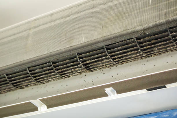 Best Air Duct Cleaning Near Me  in Fort Calhoun, NE